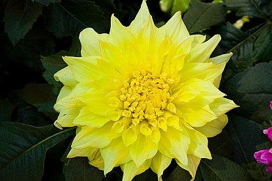 《连环杀手人生》上架Steam 支持简体中文